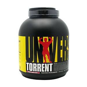 torrent kg